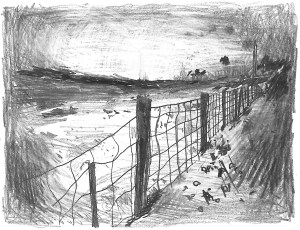 Après le passage des corbeaux