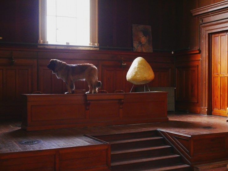 Palais_de_justice_chien_02_light